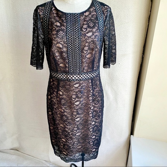 ANTONIO MELANI Dresses & Skirts - Antonio Melani 10 Lace Sheer Illusion Dress Black